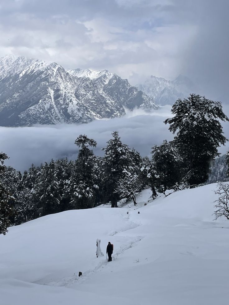 Kuari Pass Trek photo 4