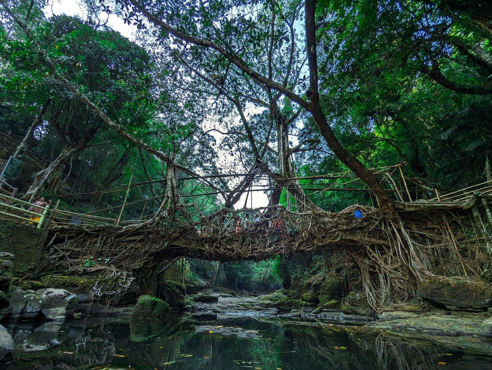 Double-decker root bridge