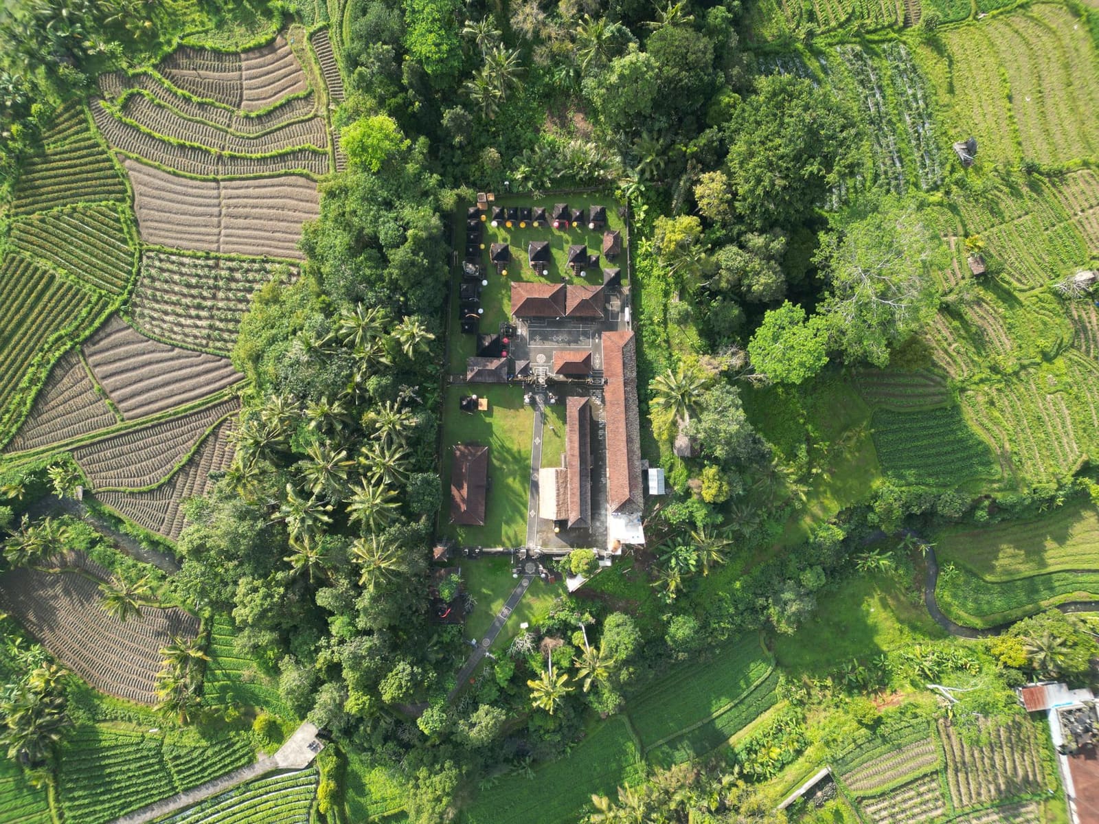 Bali with Riya: Winter Batch