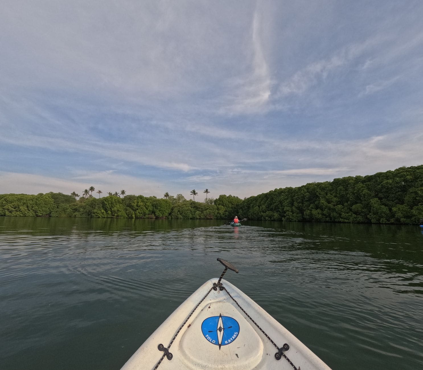 Chapora Mangrove Kayak Tour