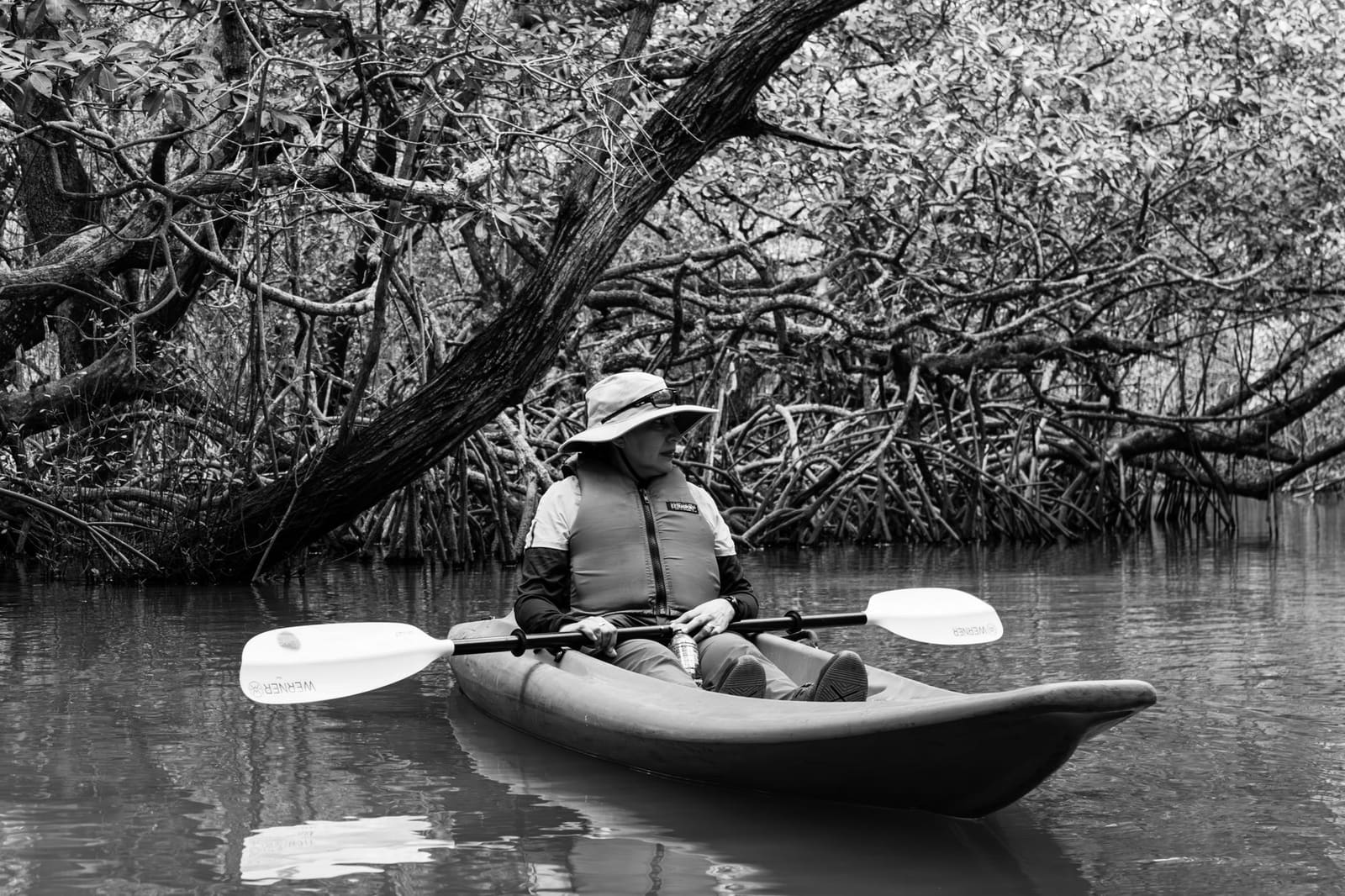 Chapora Mangrove Kayak Tour photo 5