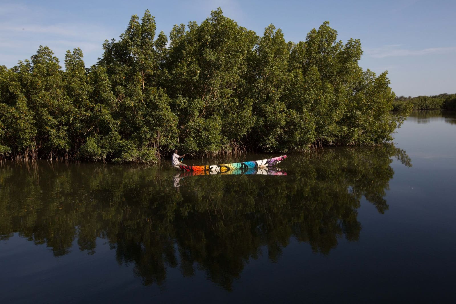 Chapora Mangrove Kayak Tour photo 2