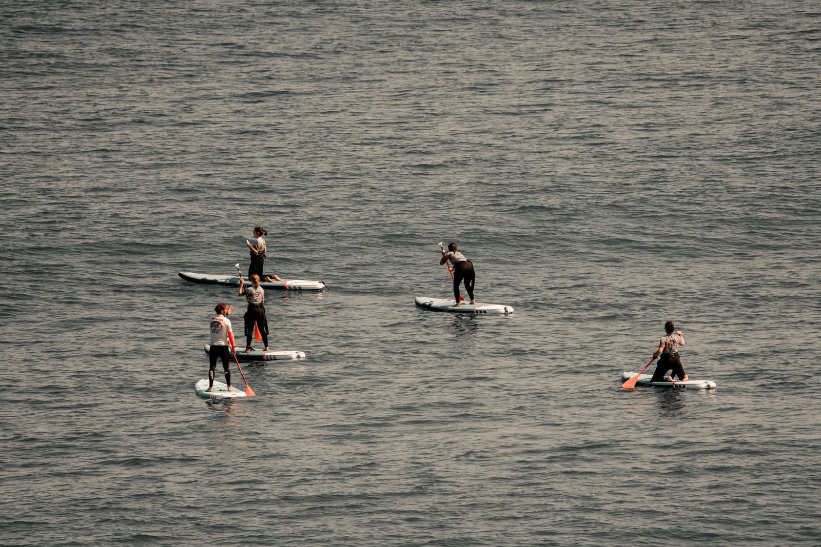 Sunset Stand-Up Paddle Session